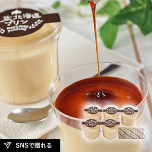 【送料無料】乳蔵 北海道プリン 5個入