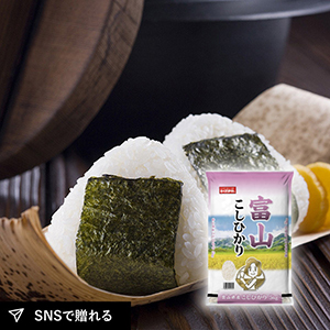 【送料無料】富山県産こしひかり 5kg