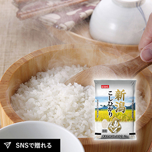 【送料無料】新潟県産こしひかり 2kg