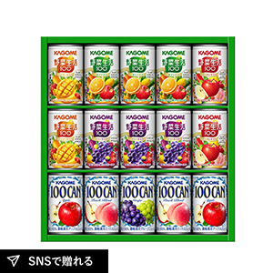 カゴメ すこやかファミリーギフトA