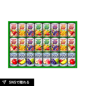 カゴメ すこやかファミリーギフトB