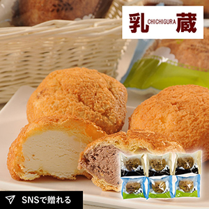 乳蔵 爽やかクリームのシューセット