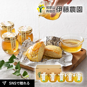 伊藤農園 有田のはちみつ 5個