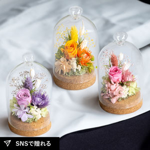 プリザーブドフラワーギフト ミニョン