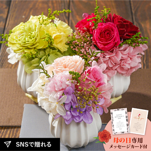 ★母の日フラワーギフト フランシーズS