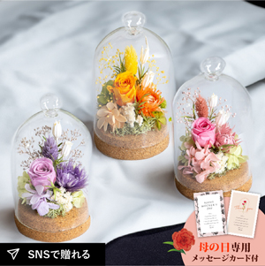 ★母の日フラワーギフト ミニョン