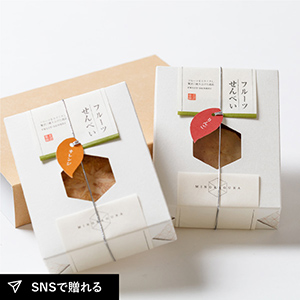 長良園　美濃菓蔵　2種入り