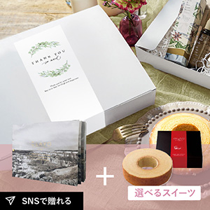 【送料無料】お礼ギフトボックス CLAYD（クレイド）WEEKBOOK 特別版