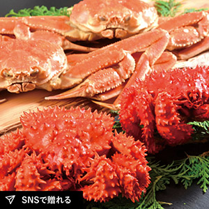 【送料無料】北海道2大ガニセット