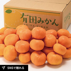 【送料無料】有田みかん4.5kg