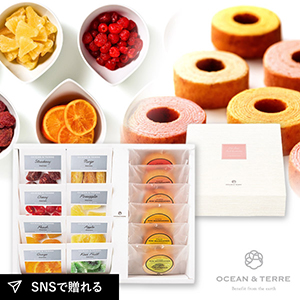 ドライフルーツ&フルーツバームセットB