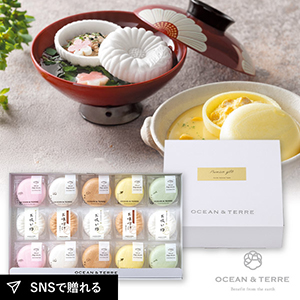 最中詰め合わせセットD