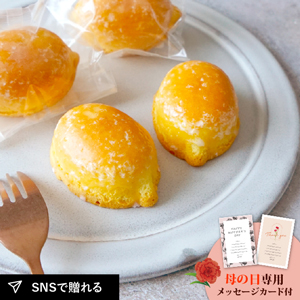 【PIARY限定】レモンケーキ2個