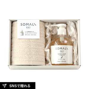 そまり ハンド用液体石けんとハンドタオル1P