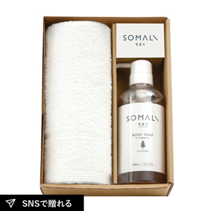 そまり ボディ用液体石けんとフェイスタオル1P