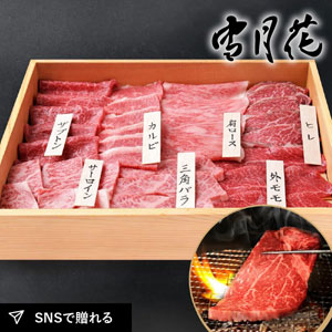 【送料無料】雪月花  松阪牛 厳選部位7点焼肉セット