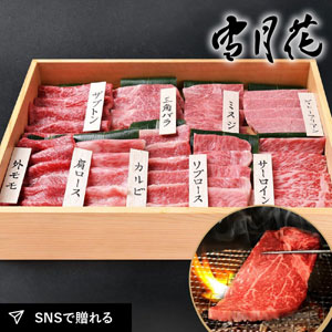 【送料無料】雪月花  松阪牛 厳選部位9点焼肉セット