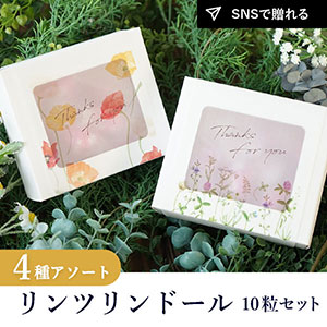 【クール便対応】リンツ リンドール SLV 4種アソート（10粒入り）