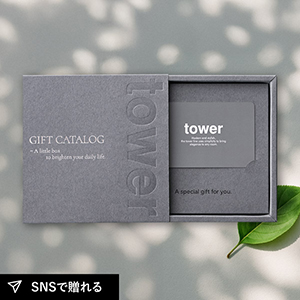 【送料無料】カード型カタログギフト 山崎実業 tower DGY