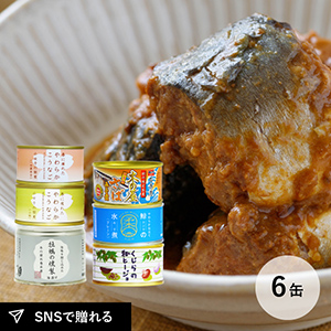 木の屋石巻水産　アウトレット缶詰6種セット