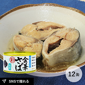 木の屋石巻水産　金華さば水煮(彩) 鯖缶詰12缶セット