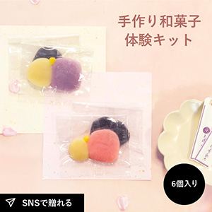練り切りキット(6個入り)