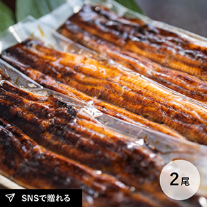 【送料無料】うなぎ蒲焼　特選長焼き4尾セット（冷凍）