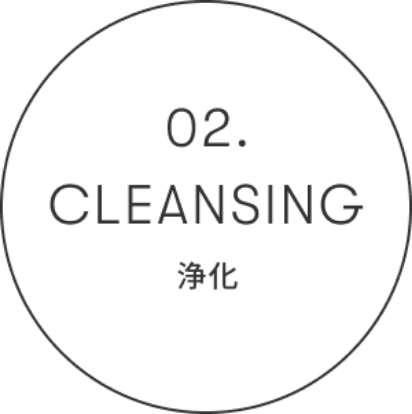 CLEANSING