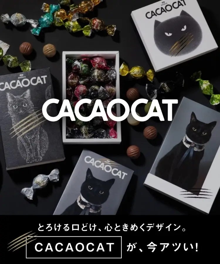 CACAO CAT