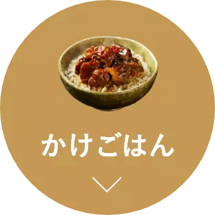 かけごはん