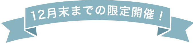 12月末までの限定開催