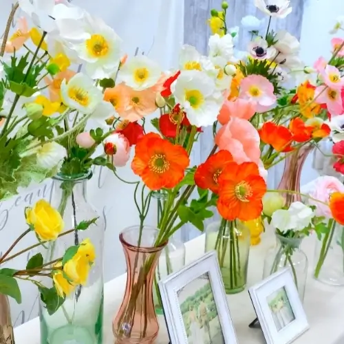 前回のピアリーフェスタの様子16