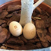 株式会社アイジーコンサルティング 特典