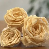 株式会社新和建設 特典