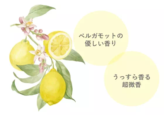 爽やかな柑橘系の香り