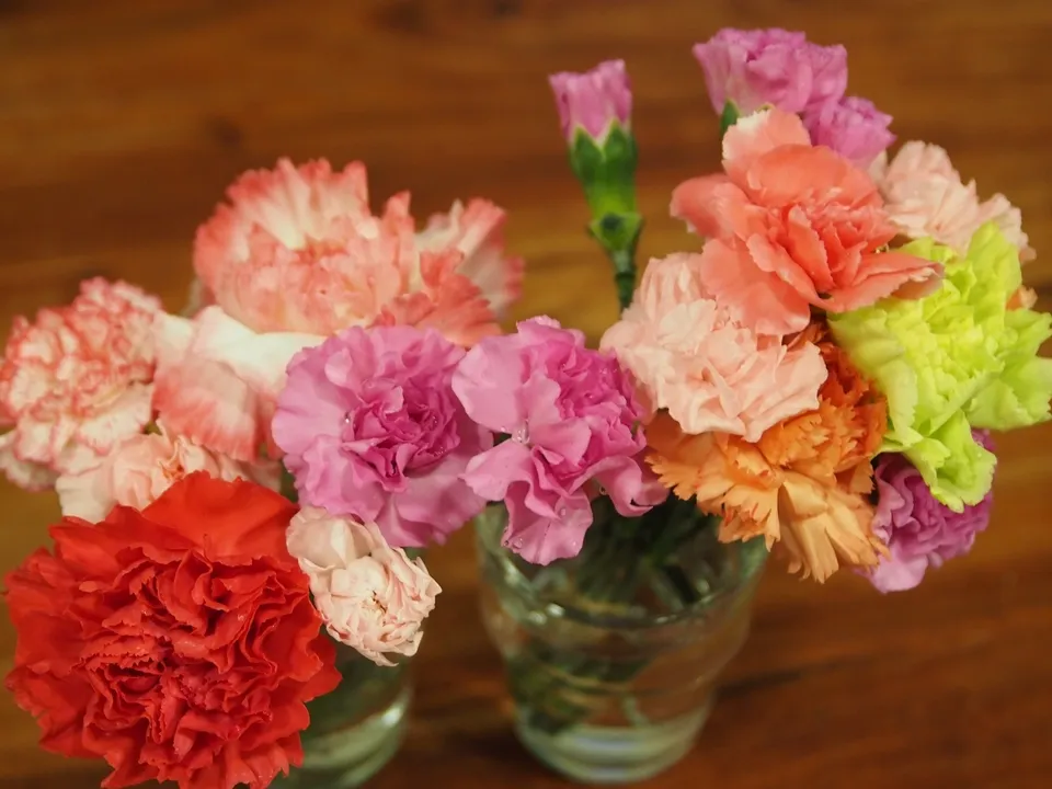 母の日は花言葉で贈る花を決めよう！おすすめの花言葉や花を紹介