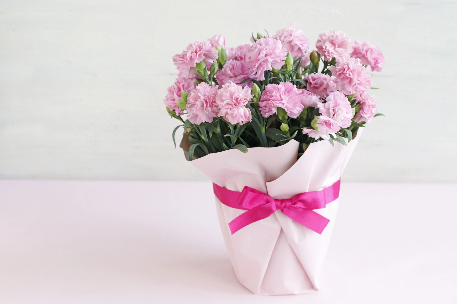 母の日に贈る花の種類や花言葉をご紹介！カーネーション以外や鉢植えも人気