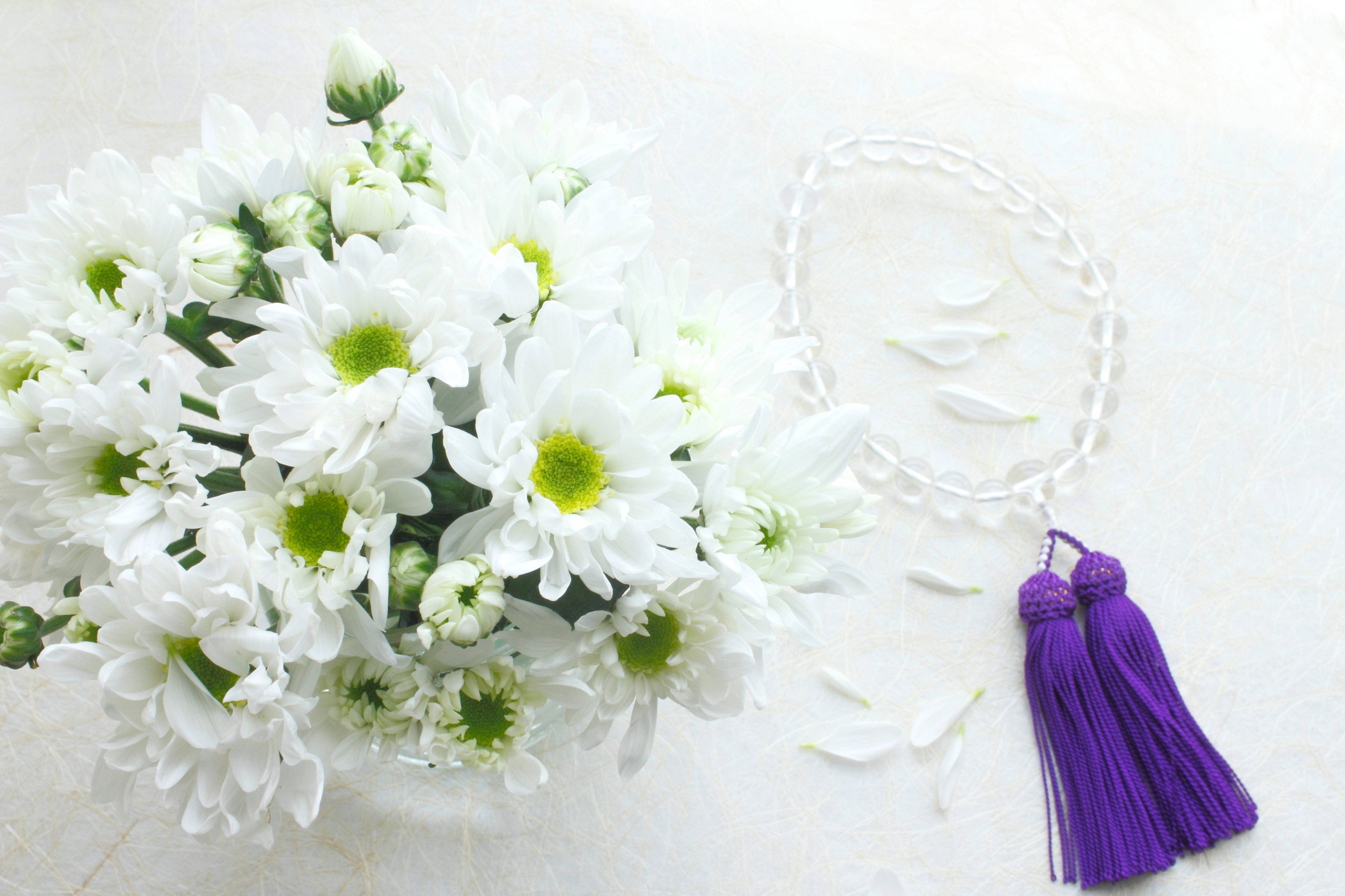 相手もしくは自分が喪中のときのお歳暮でのしはどうすべき？