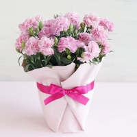 父の日におすすめプチギフト