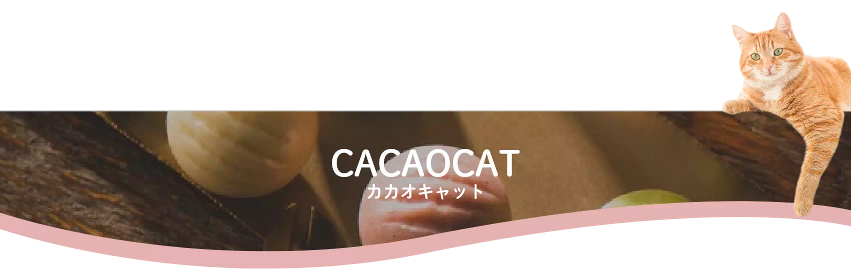 CACAOCAT