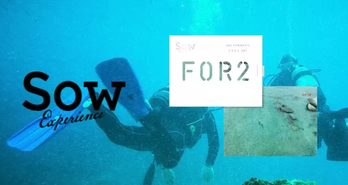 ソウエクスペリエンス