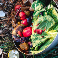 食品ロスが環境問題に与える影響｜家庭での食品ロス削減対策も解説