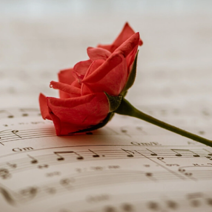 プロフィールムービーに合う曲をご紹介♪