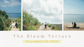 プロフィールムービー ルーセント（リッチ）