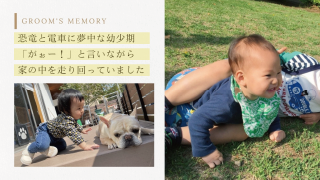 プロフィールムービー ルーセント（リッチ）