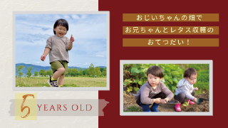 プロフィールムービー ラブ・メッセージ 