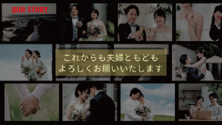 プロフィールムービー ブライズフリックス