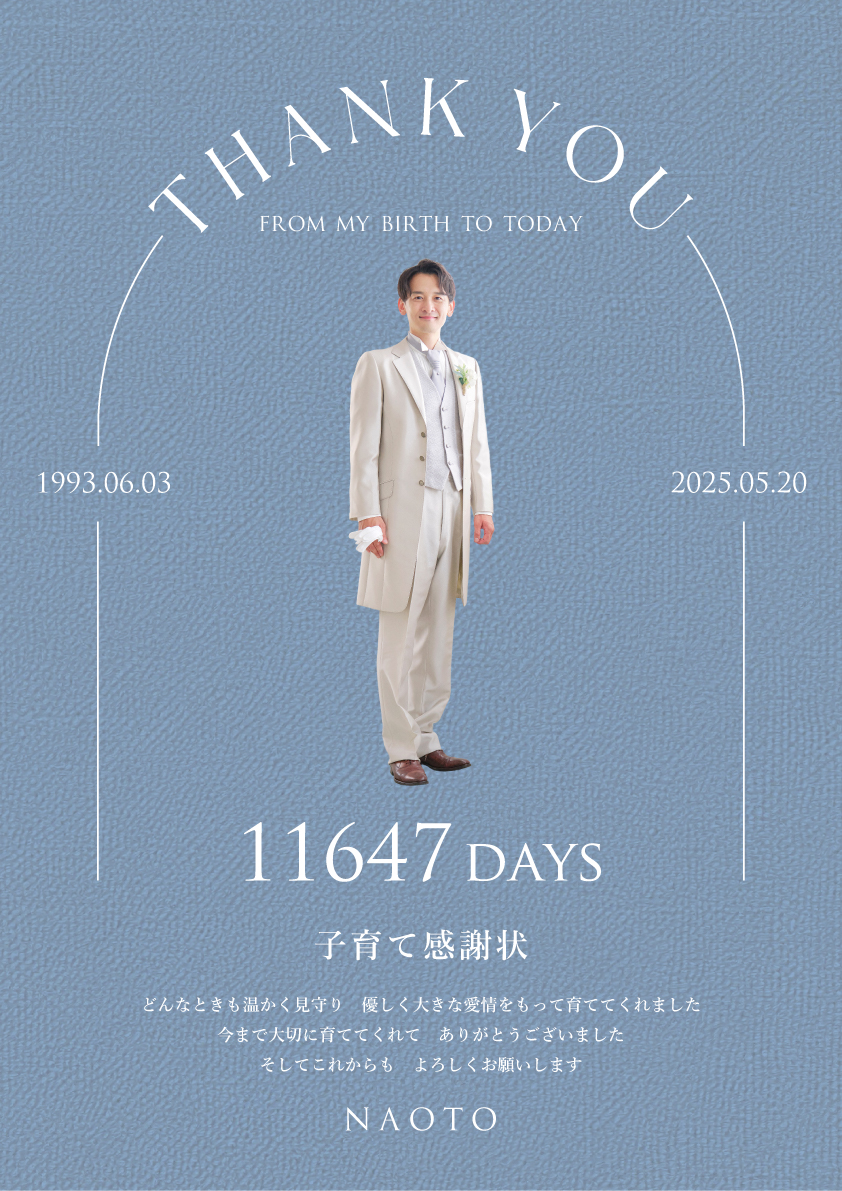 アーチピクト グレージュブルー