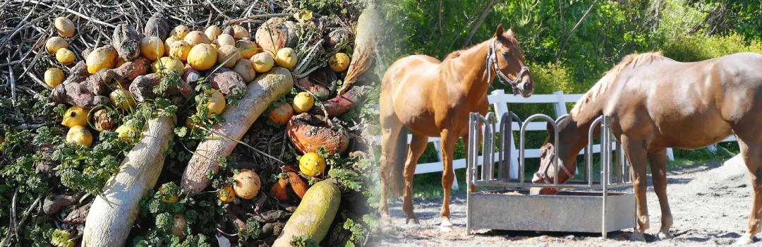 食品ロス削減に関する2つの法律