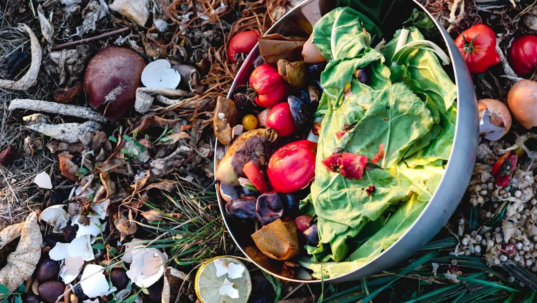 食品ロスが環境問題に与える影響|家庭での食品ロス削減対策も解説